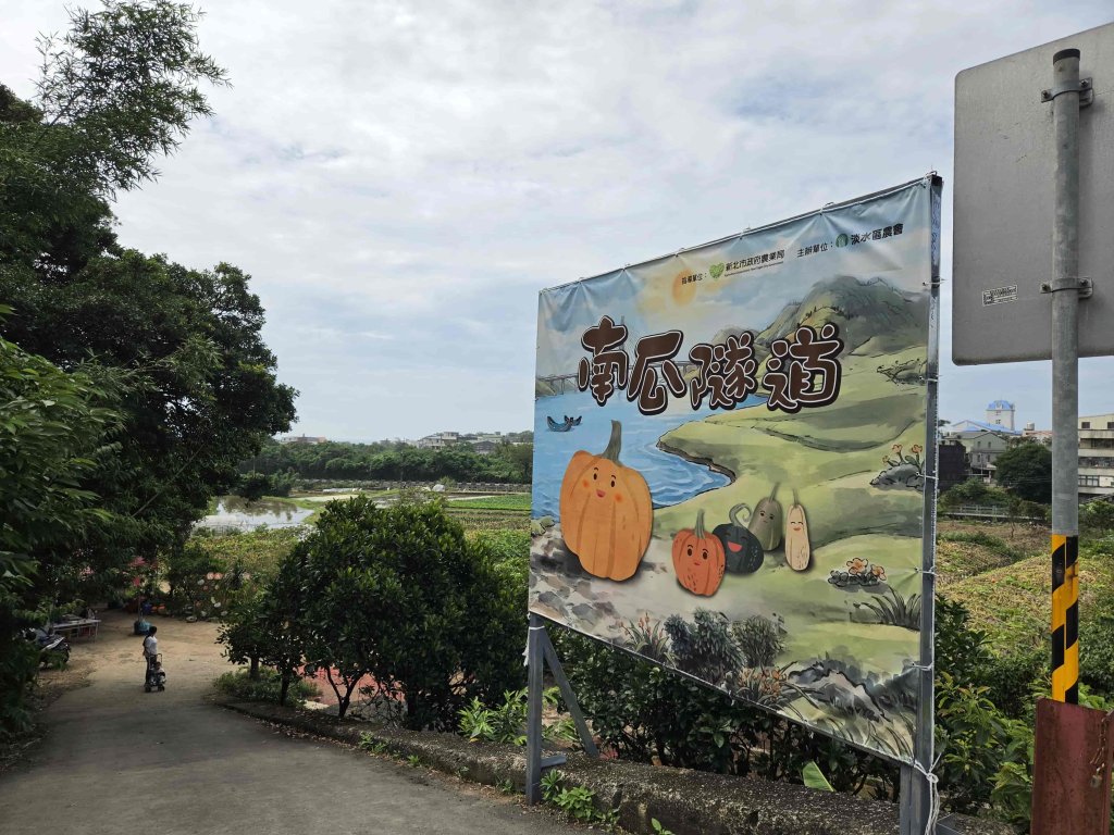 20260522淡水南瓜隧道-下奎柔百合花園-錦繡莊文化園區封面圖