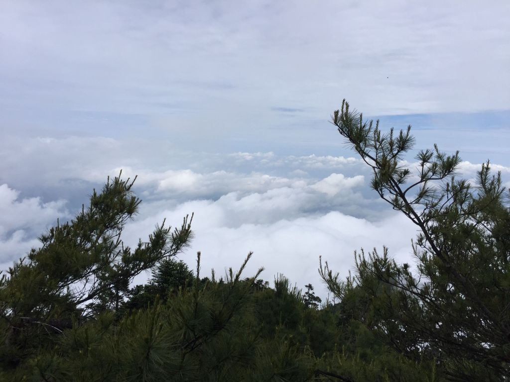20180610 西巒大山_350189