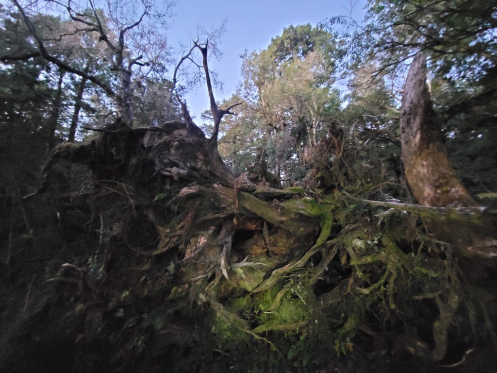 20230219 塔魔巴_2037219