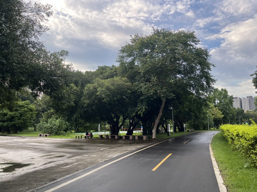 [全臺走路趣尋寶-22/100] 2024_0618 景美河濱公園_2530325