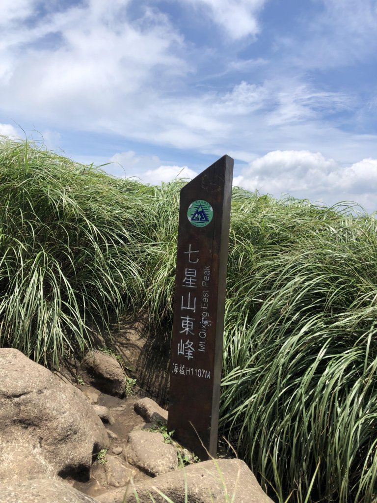 【七星山】台北第一高峰(小百岳No.2)_626112