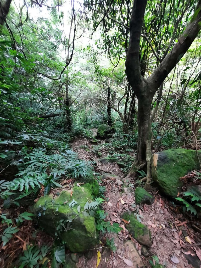 20230715 白雞三山 (鹿窟尖山-雞罩山-白雞山)，高CP好吃的食三麵屋_2219355