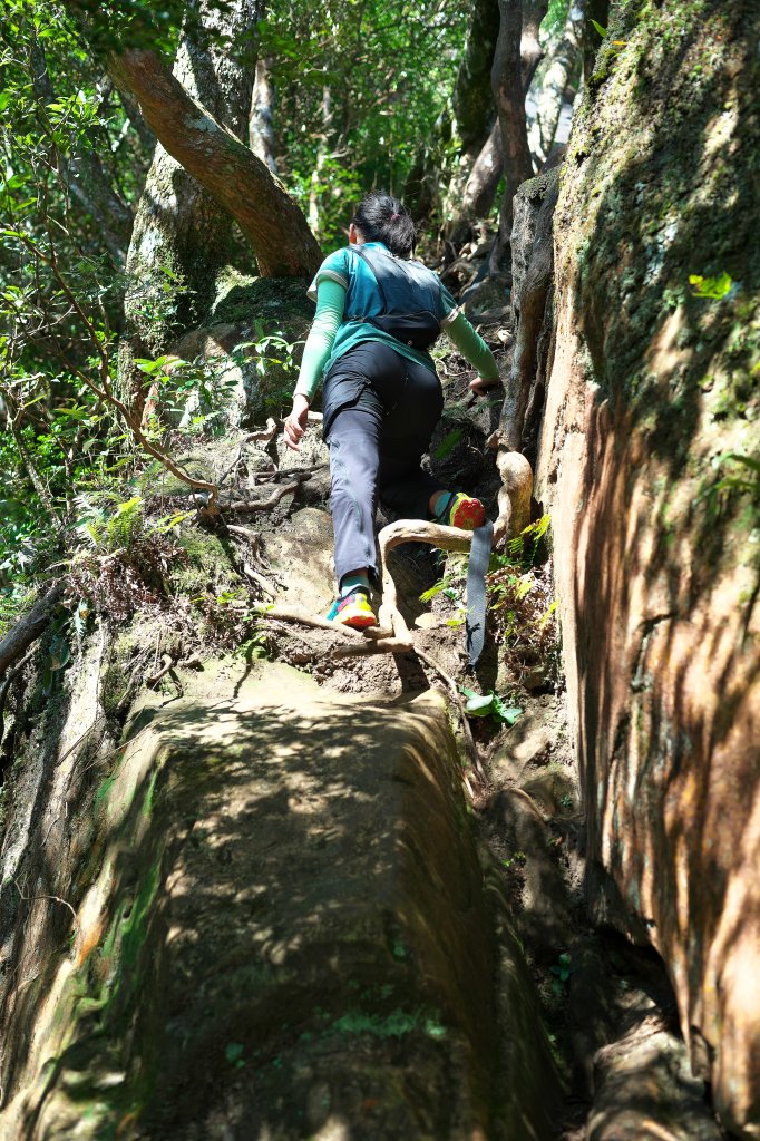 嘎色鬧登那結山_2392499