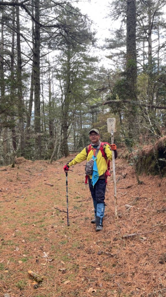 對關追龍貓🚌_1967741