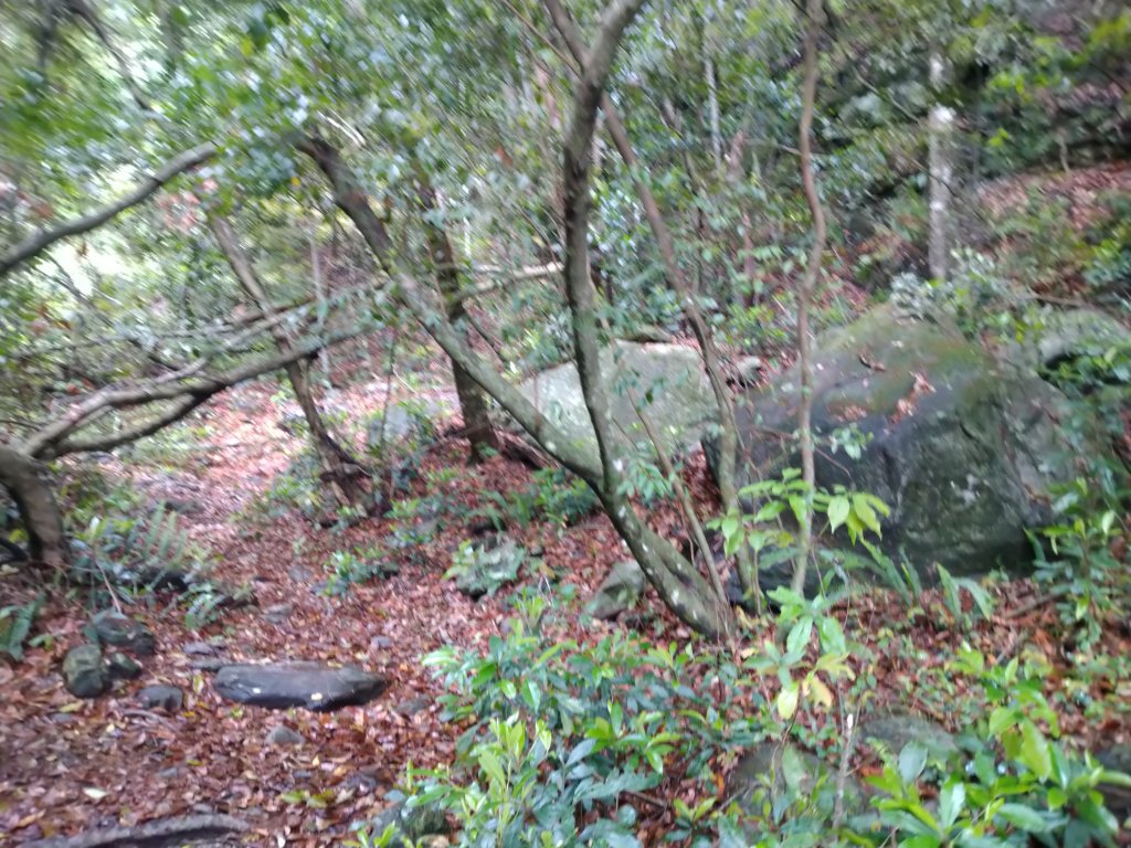 最愛的秘境0-帖比倫峽谷瀑布_1185796