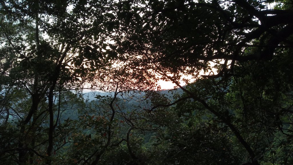 劍潭山/文間山/金面山尋幽_916609