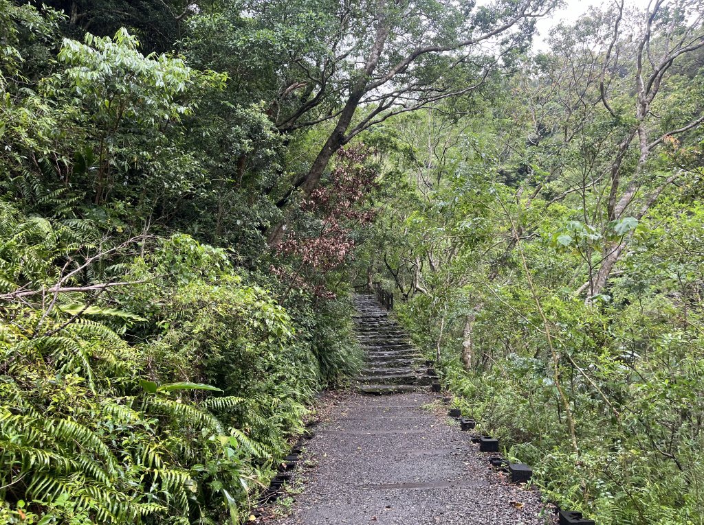 [屏步青雲 尋寶任務-03/10] 2024_0917 雙流國家森林遊樂區（瀑布步道）_2597801
