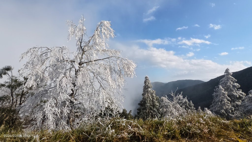 #霧淞 #雲海 #雲瀑 #霧虹 #太平山 #望洋山 #觀雲步道 #翠峰道路  2/8_2995275