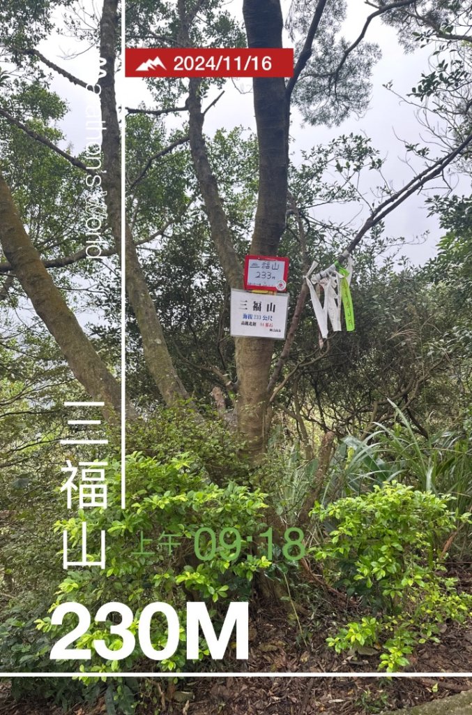 迴鶯縱走_2649327