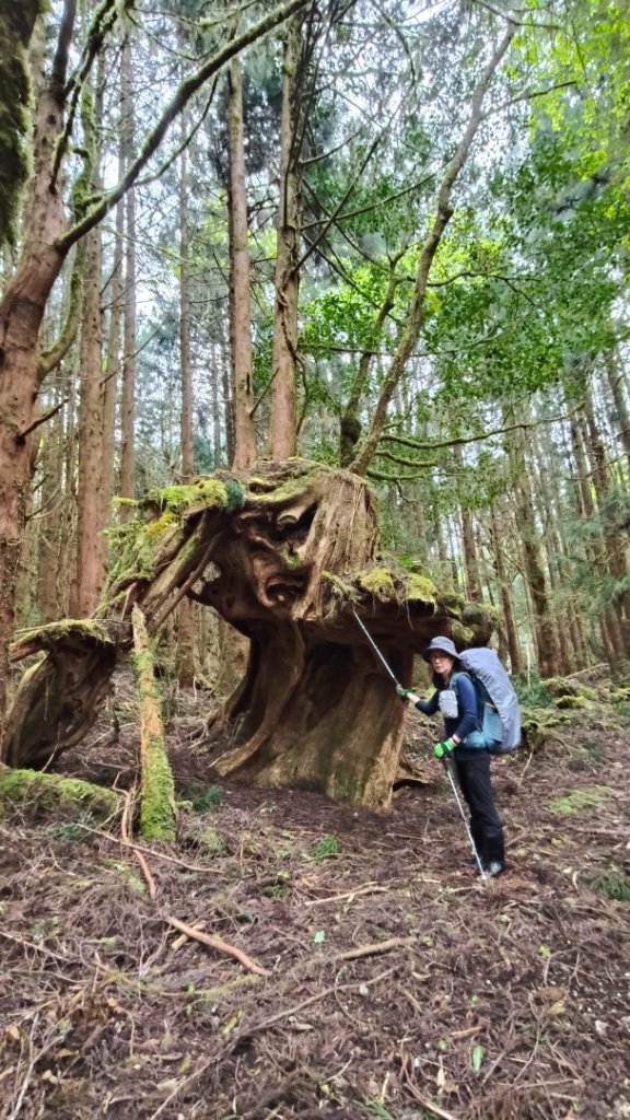 南三段10 天縱走_2769220