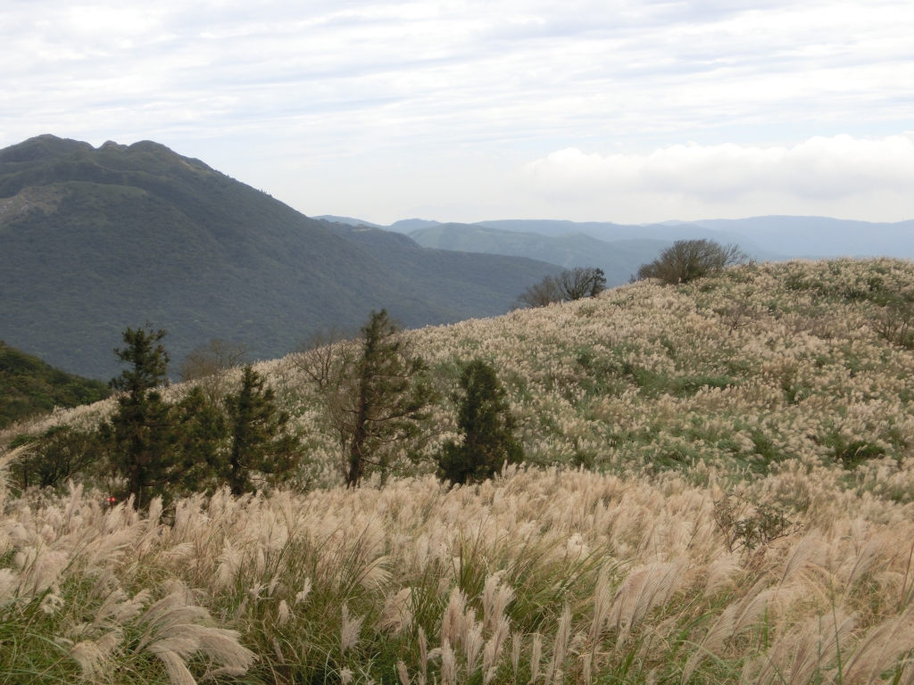 大屯山西峰．南峰．大屯坪_94815
