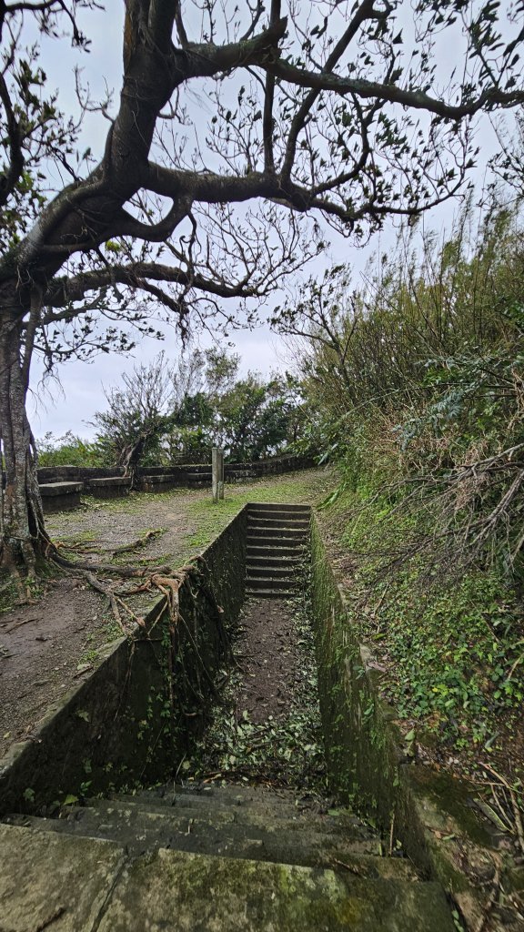 【挑一間北濱文旅，走一座基隆小百岳，吃一頓八斗子好料】解鎖第54座小百岳#003大武崙山O繞_2925354