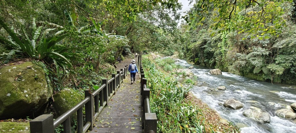 2025/03/16_蓬萊溪護魚步道+萊園坪山_2737571