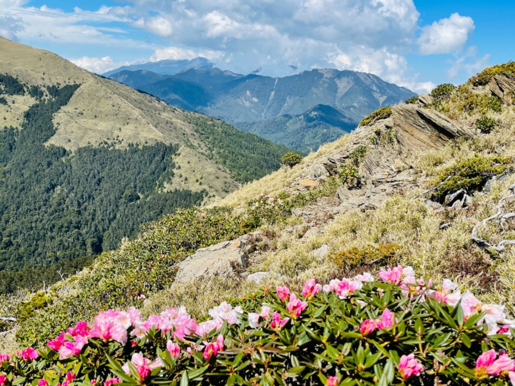 1110422南哈哈山-哈哈山-石門山北峰_1684418