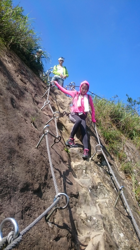 孝子山 ．慈母峰．普陀山．中央尖_52609