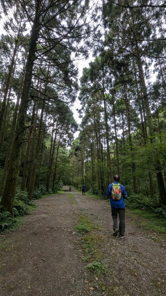 113.06.22坪溪古道-石坑山之旅_2533809