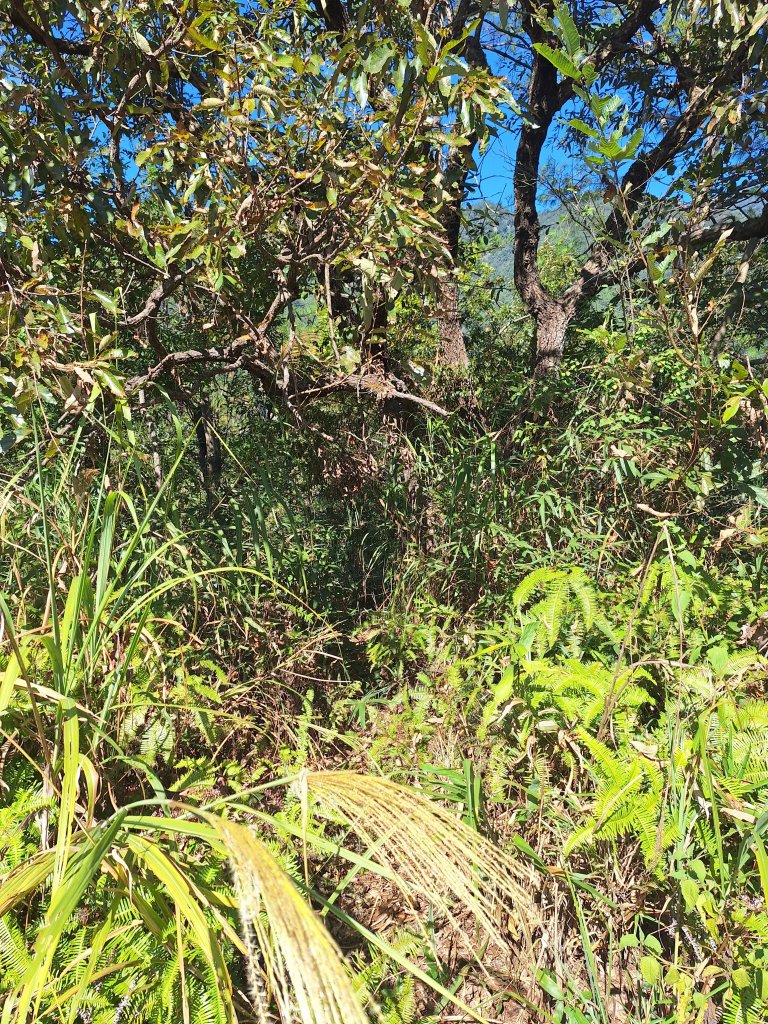 上谷關山20251120_2940860