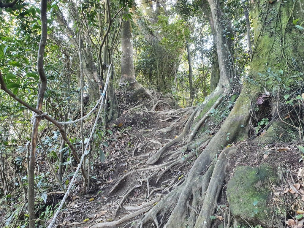 八仙古道封面圖