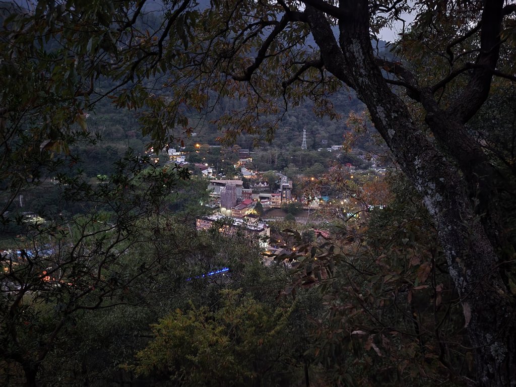 2025.11.30 谷關七雄 No.4 波津加山，不給休的蜂_2952169