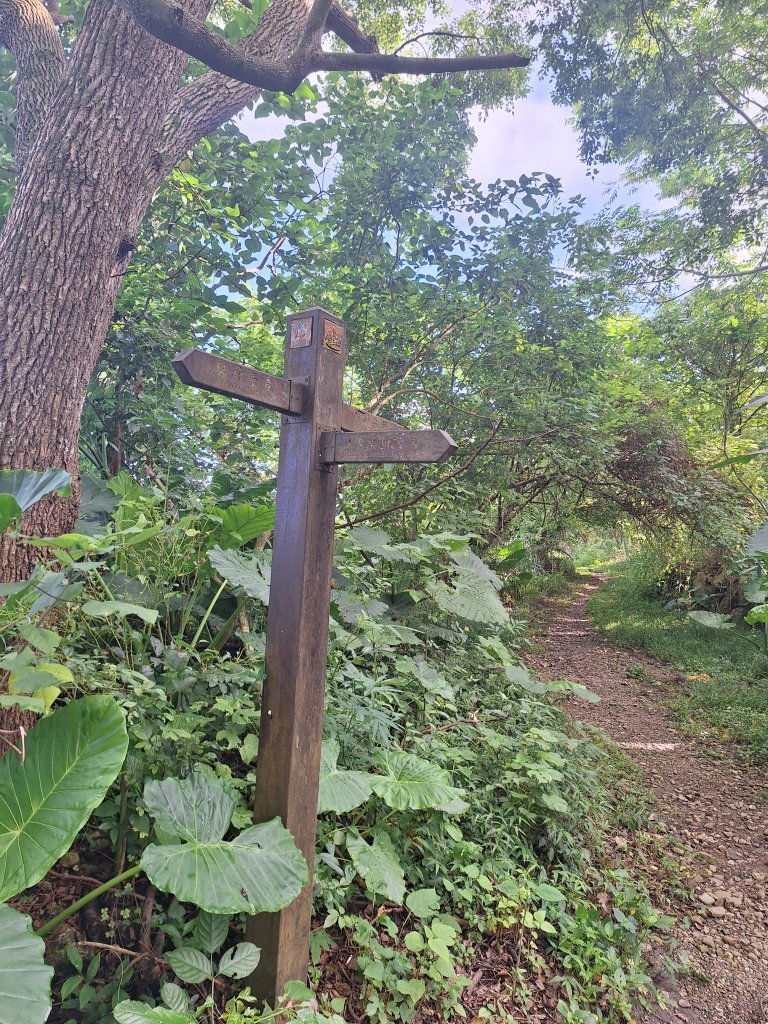 碧雲寺枕頭山O型20241006_2615794