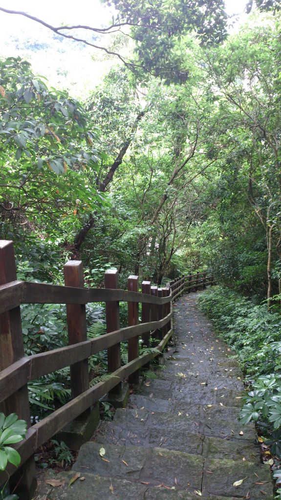 碧湖公園登山步道_114160