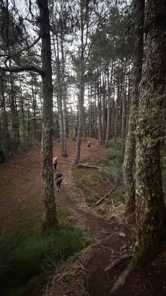 中央尖山 2025 11/7 三天兩夜_2935745