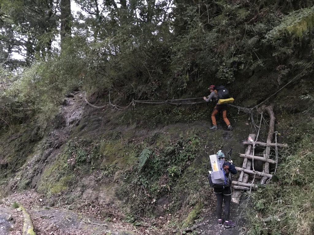 屏風山上奇萊北_892338