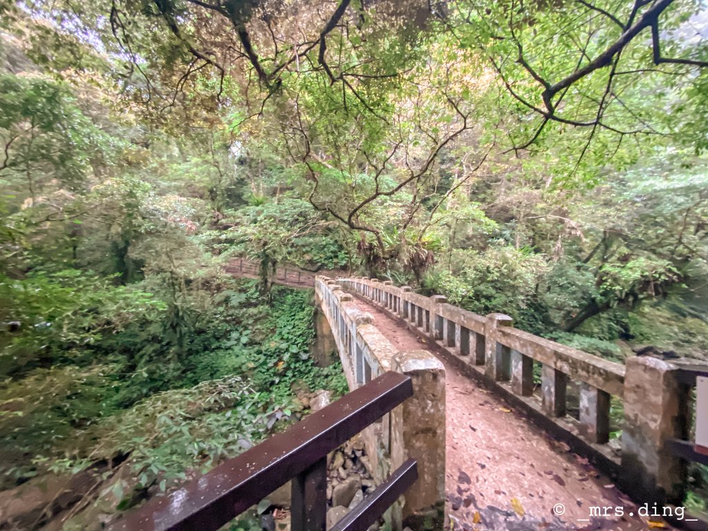 ＜新北市．三峽＞滿月圓國家森林遊樂區_1004153