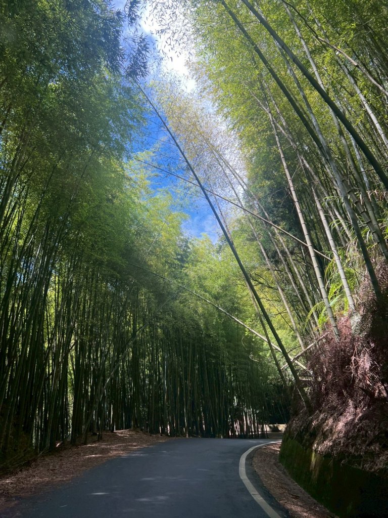 嵐山再古坑。五元兩角 木馬古道封面圖