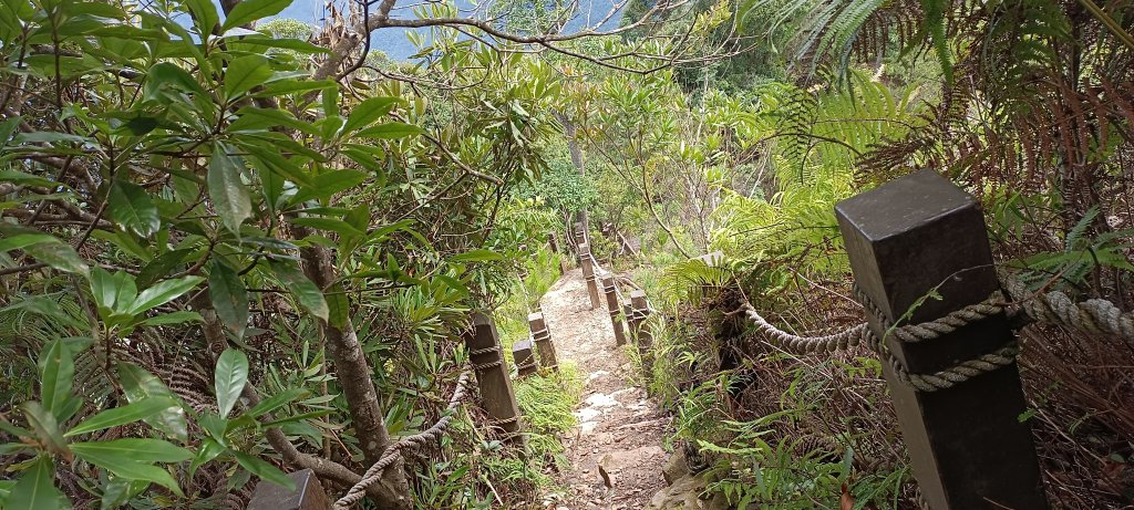 20230812_白毛山步道_2246189