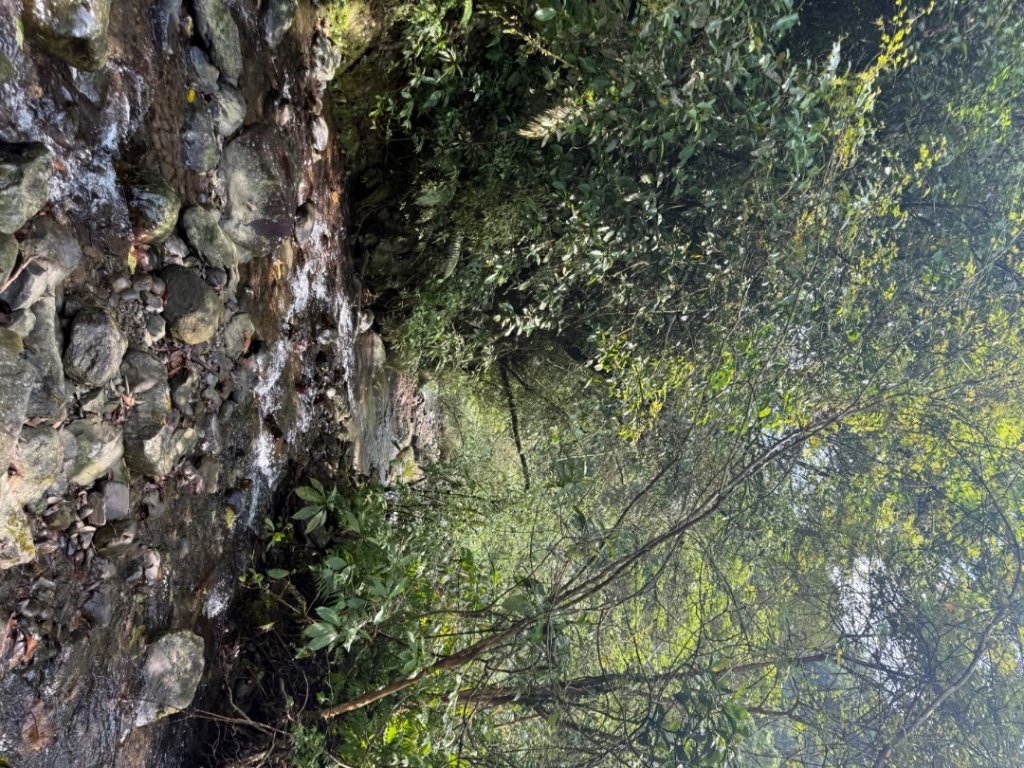 桂山路197巷 》呂奔山北峰 》呂奔山 》阿玉壩_2755802