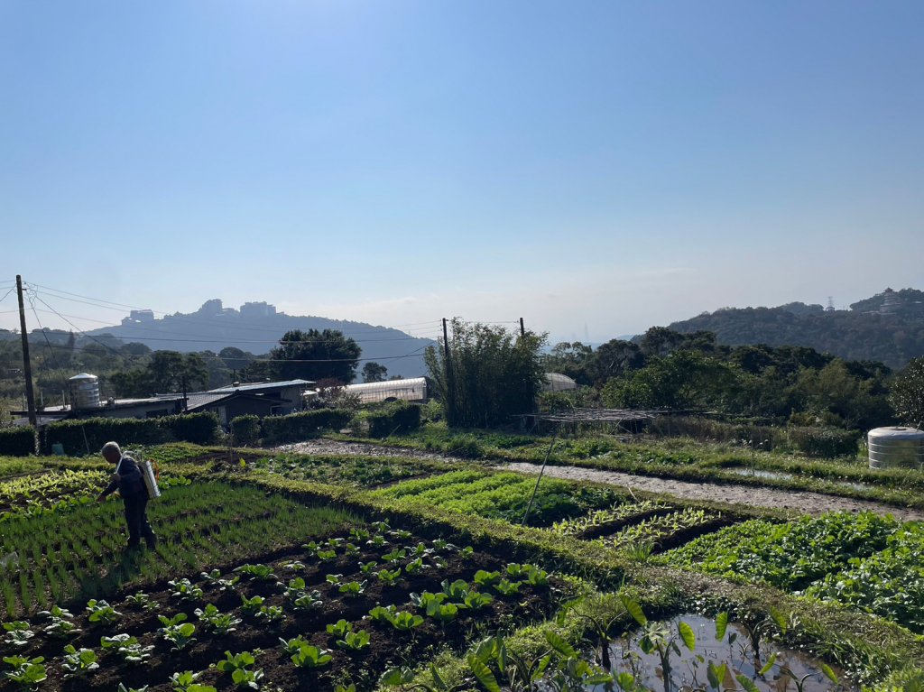 北投慢遊_2014491