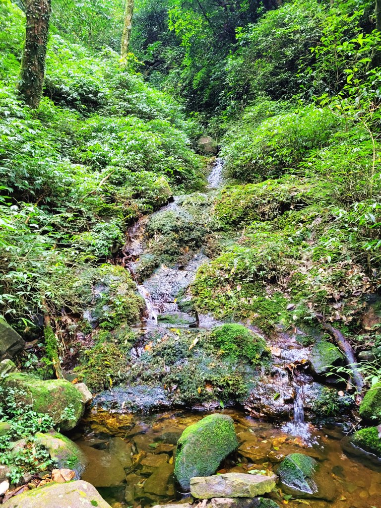 【台北抺茶山】小觀音山走春_2010739