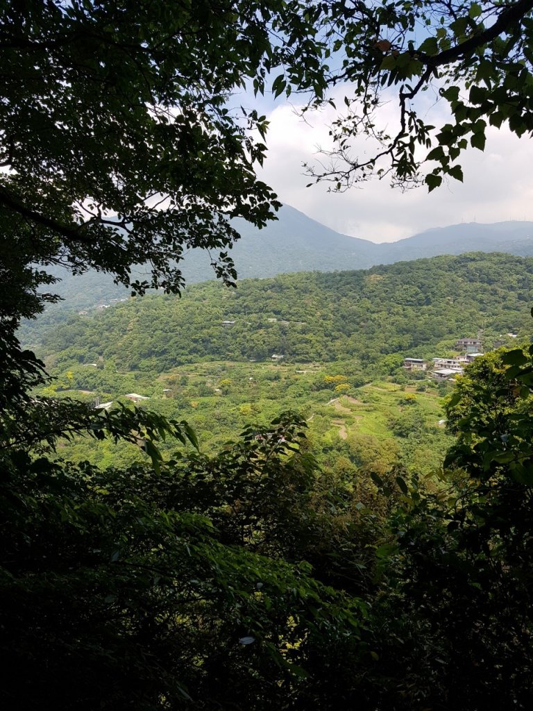 天母古道-水管路_1104193