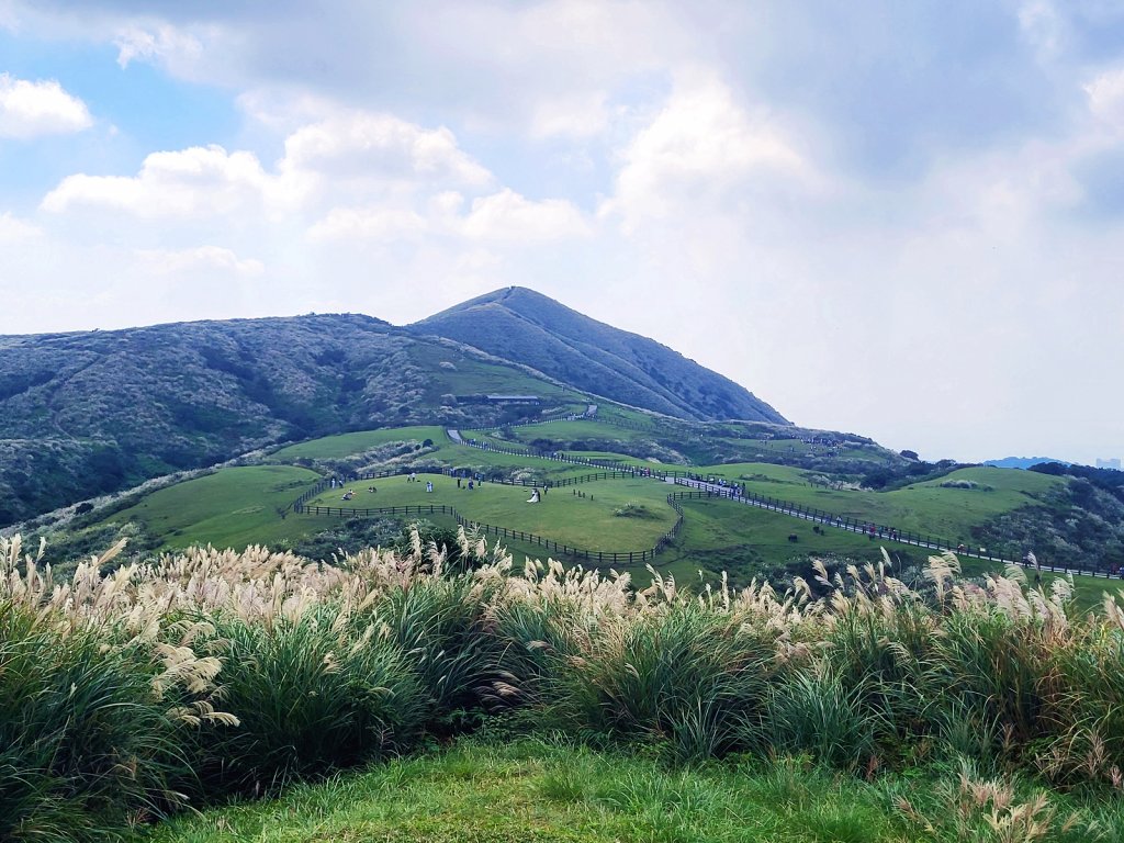 【芒花舞秋風】草山精典賞芒勝地連走_2336397