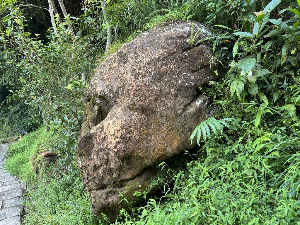 [微笑山線_第九段] 2025_0914 二格山系_皇帝殿東峰_2889474