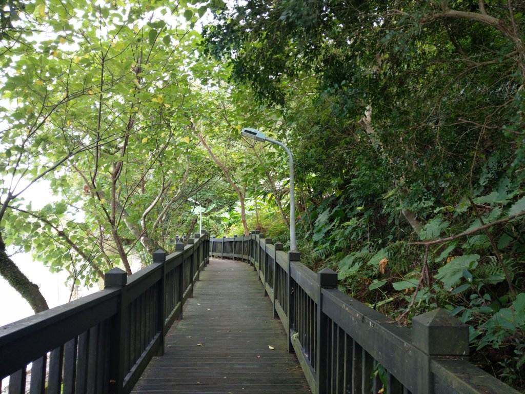 140高地公園(抱子腳山)→軍功山→富陽自然生態公園_1493632