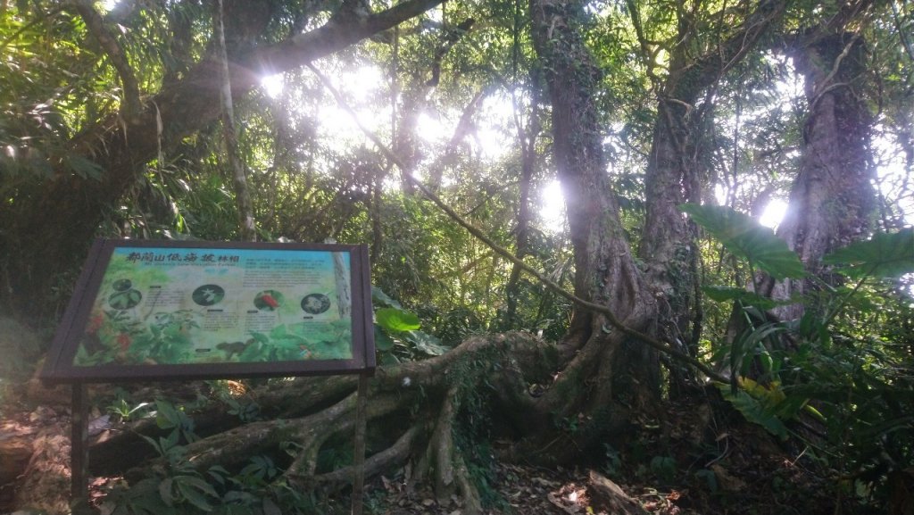 卑南族聖山都蘭山_1777933