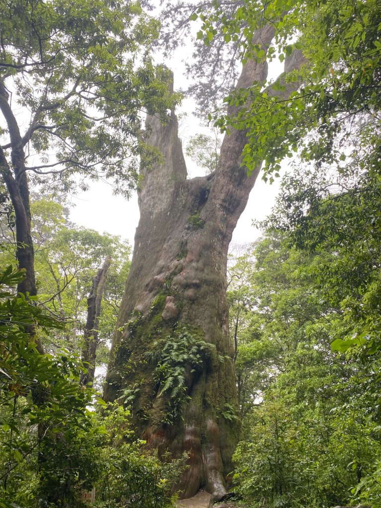 年輕人爬山趣～北得拉曼 5/13 2023_2170500