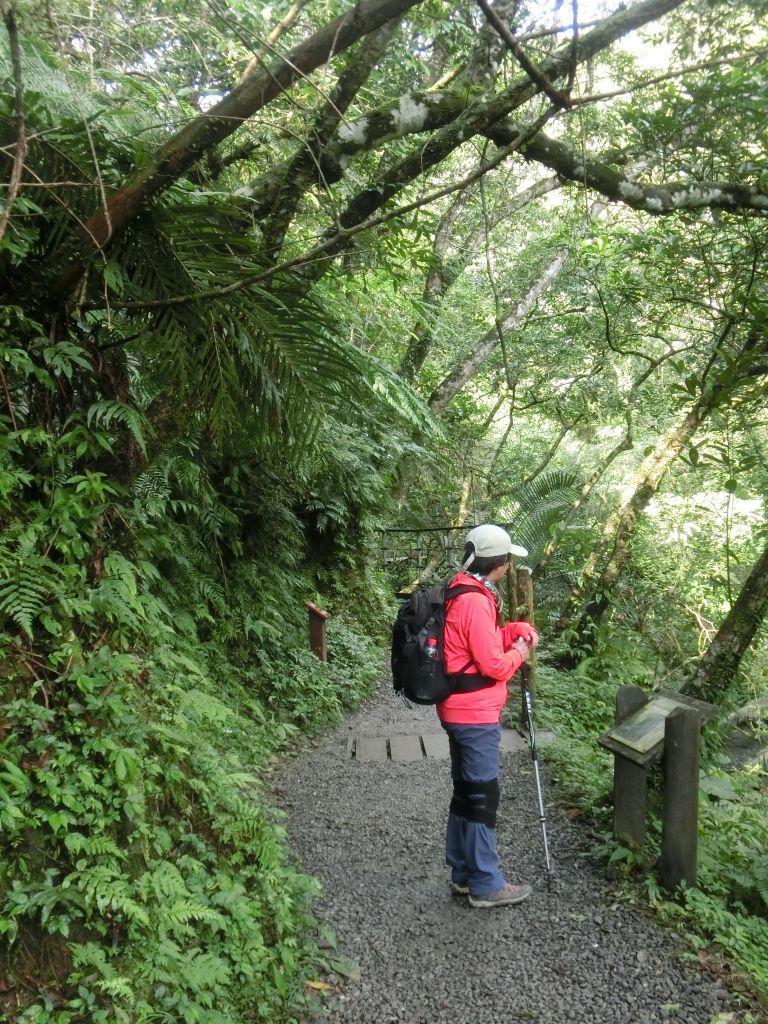 林美石磐步道．淡江蘭陽校區_268995