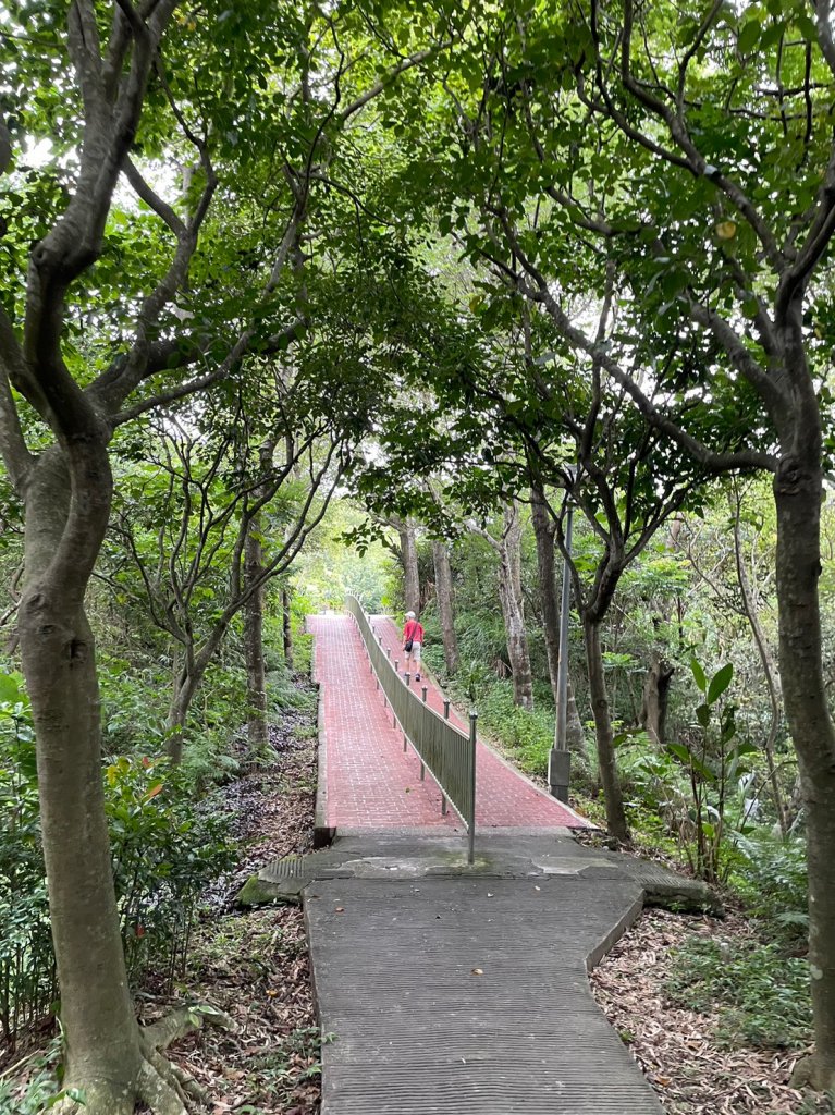 牡丹心步道_2187860