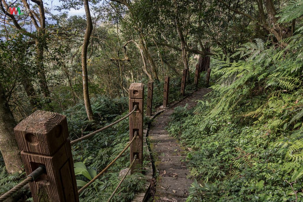 WL 愛旅行【獅仔頭山】_269332