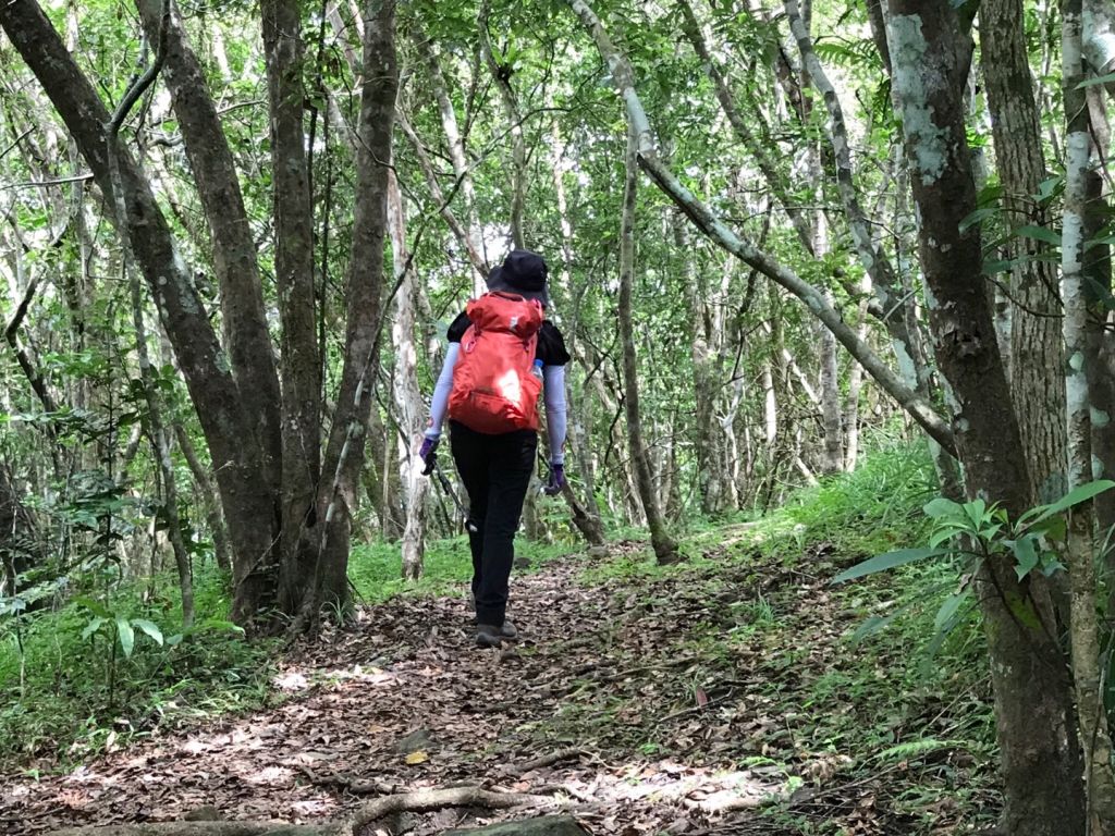 花蓮月眉山步道_392230
