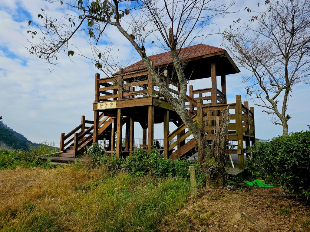 挑筍古道(大尖山、後棟仔山步道)--(雲林)臺灣百大必訪步道_2955745