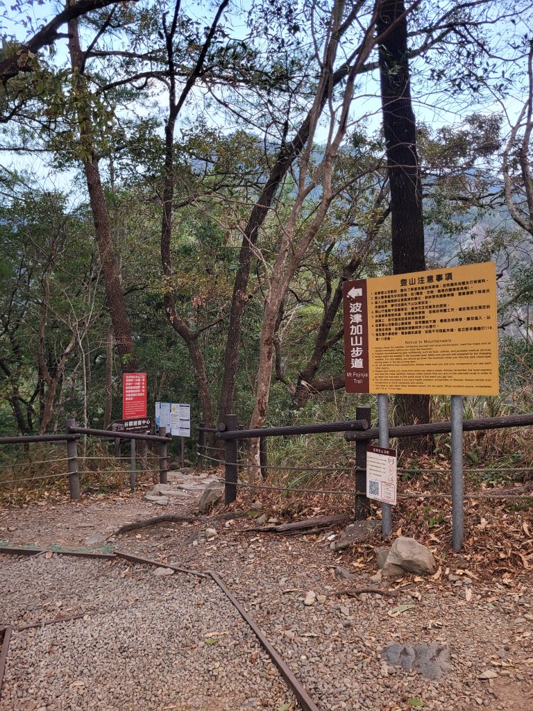 2025.11.30 谷關七雄 No.4 波津加山，不給休的蜂_2952165