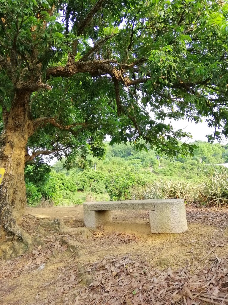 散步賞景。編號46小百岳~阿罩霧山_752801
