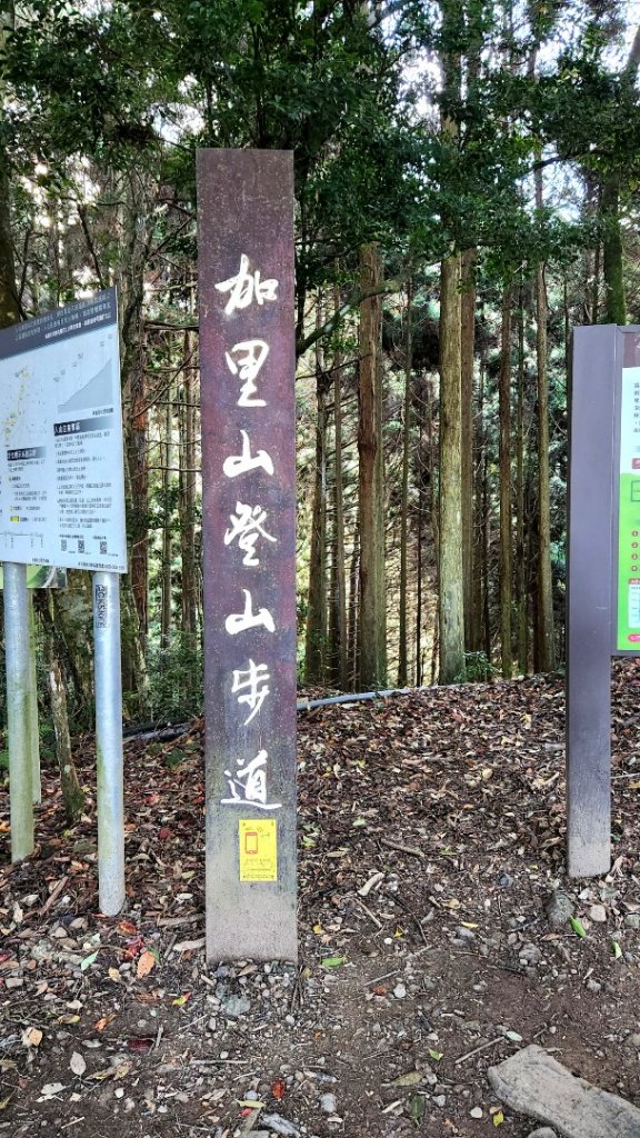 加里山，橫龍山，騰龍山，橫龍古道，鳥嘴山（上島山），南十八尖山，崎頂子母隧道，青青草原_1885485