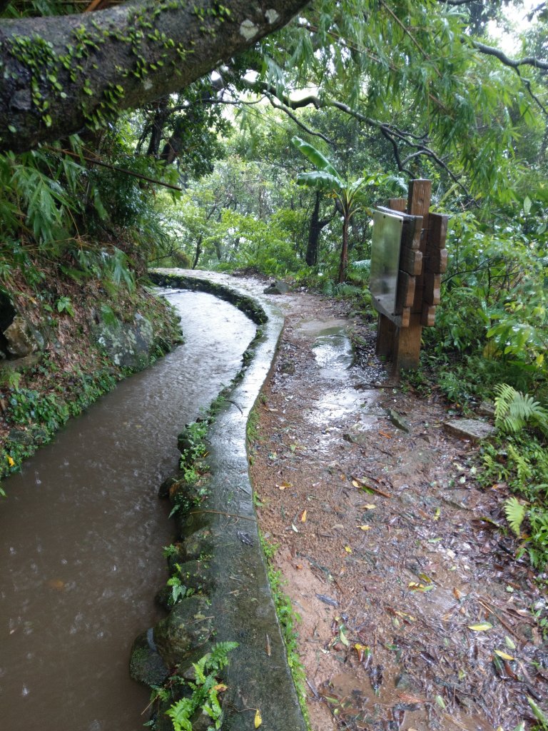 坪頂古圳_690489