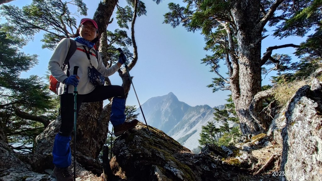 北二後段甘薯無明_2116471