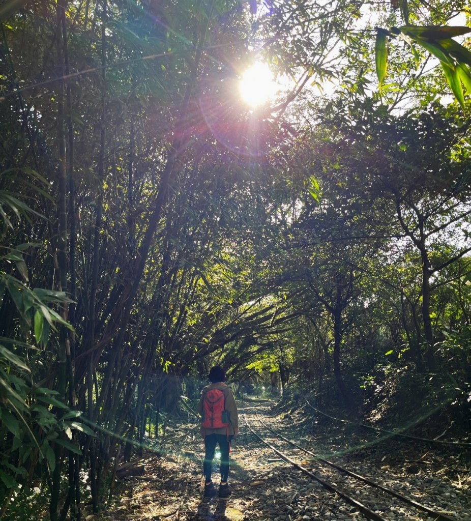 愛在秋芒紛飛時...五分山_2353593